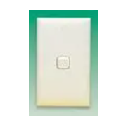 Domestic Switches
